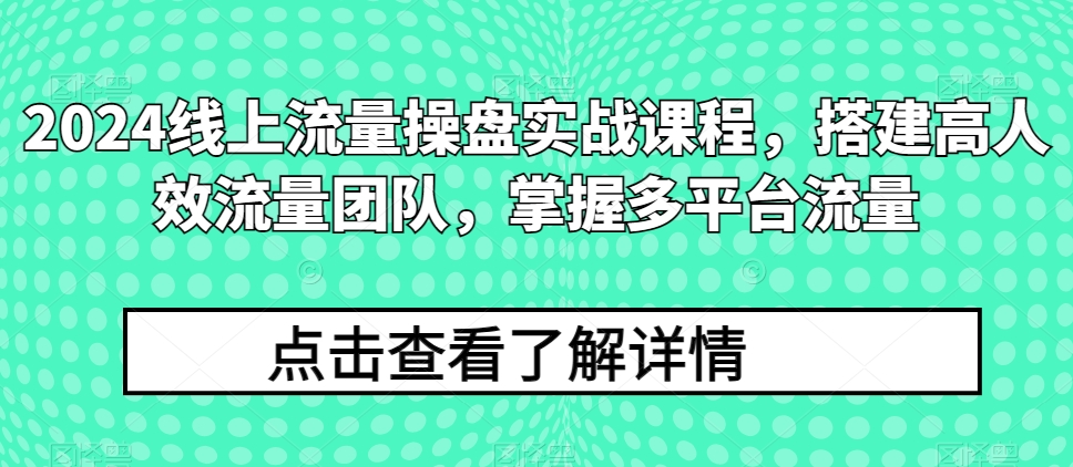 2024线上流量操盘实战课程，搭建高人效流量团队，掌握多平台流量-啄木鸟资源库