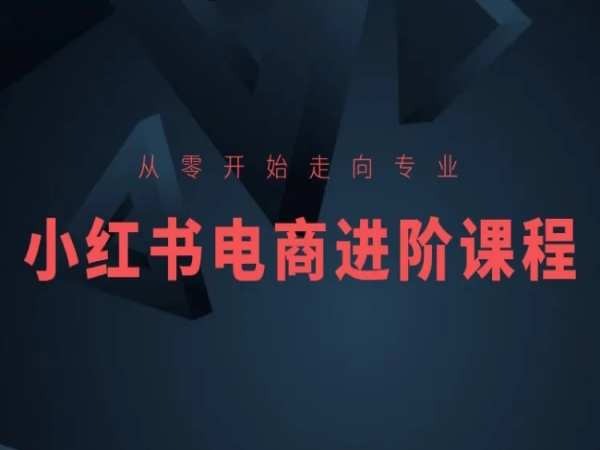 从零开始走向专业，小红书电商进阶课程-啄木鸟资源库