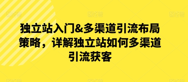 独立站入门&多渠道引流布局策略，详解独立站如何多渠道引流获客-啄木鸟资源库