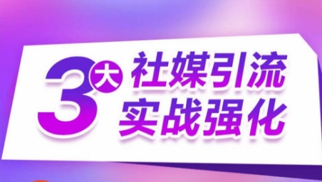 3大社媒引流实战强化，多渠道站外引流，高效精准获客，订单销售额翻倍增长-啄木鸟资源库