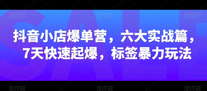 抖音小店爆单营，六大实战篇，7天快速起爆，标签暴力玩法-啄木鸟资源库