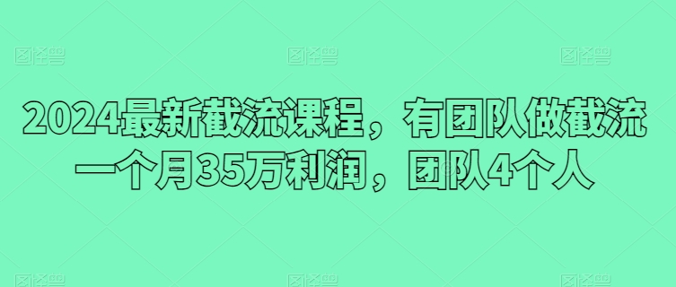 2024最新截流课程，有团队做截流一个月35万利润，团队4个人-啄木鸟资源库