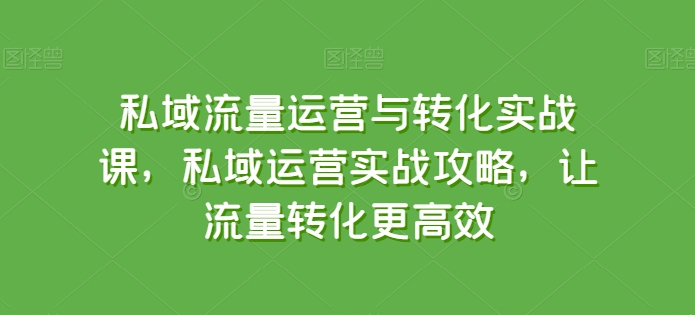 私域流量运营与转化实战课，私域运营实战攻略，让流量转化更高效-啄木鸟资源库