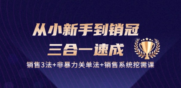 从小新手到销冠 三合一速成：销售3法+非暴力关单法+销售系统挖需课 (27节)-啄木鸟资源库