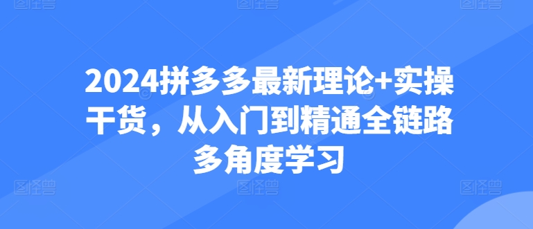 2024拼多多最新理论+实操干货，从入门到精通全链路多角度学习-啄木鸟资源库