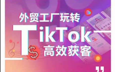 外贸工厂玩转TikTok高效获客，多种引流方式与账号定位技巧，拆解爆款短视频打造成功案例-啄木鸟资源库