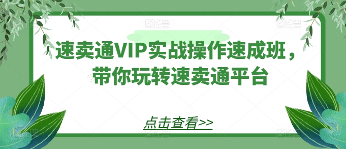 速卖通VIP实战操作速成班，带你玩转速卖通平台-啄木鸟资源库