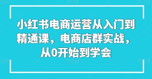 小红书电商运营从入门到精通课，电商店群实战，从0开始到学会-啄木鸟资源库