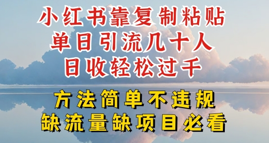 小红书靠复制粘贴单日引流几十人目收轻松过千，方法简单不违规【揭秘】-啄木鸟资源库