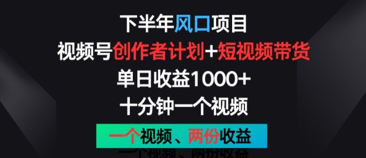 下半年风口项目，视频号创作者计划+视频带货，一个视频两份收益，十分钟一个视频【揭秘】-啄木鸟资源库