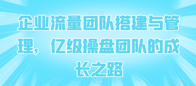 企业流量团队搭建与管理，亿级操盘团队的成长之路-啄木鸟资源库