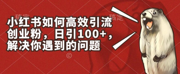 小红书如何高效引流创业粉，日引100+，解决你遇到的问题【揭秘】-啄木鸟资源库