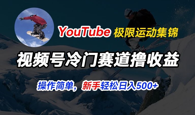 视频号冷门赛道撸收益，YouTube搬运极限运动集锦，暴力起号，操作简单流量高，轻松日入5张【揭秘】-啄木鸟资源库