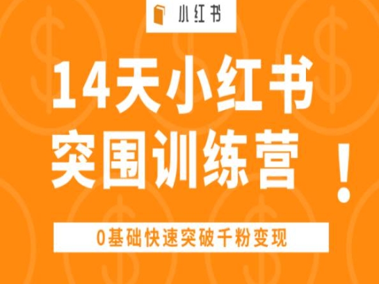 14天小红书突围训练营 ，0基础快速突破千粉变现-啄木鸟资源库