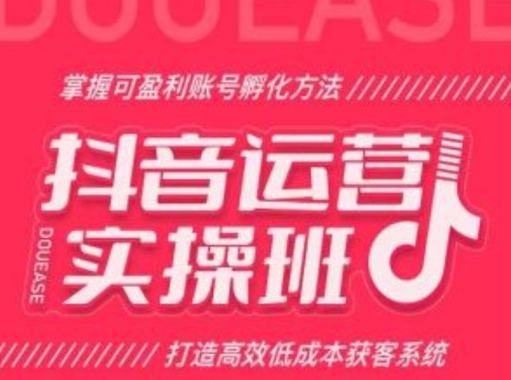 抖音运营实操班，掌握可盈利账号孵化方法，打造高效低成本获客系统-啄木鸟资源库