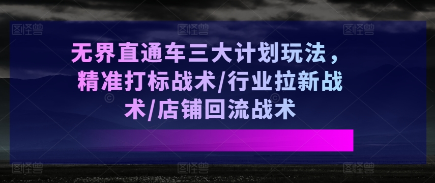 无界直通车三大计划玩法，精准打标战术/行业拉新战术/店铺回流战术-啄木鸟资源库