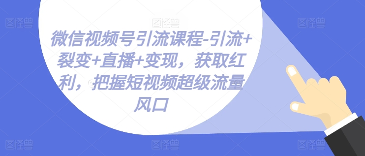 微信视频号引流课程-引流+裂变+直播+变现，获取红利，把握短视频超级流量风口-啄木鸟资源库