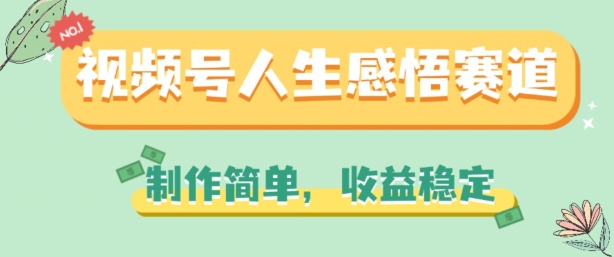 视频号人生感悟赛道，制作简单，收益稳定【揭秘】-啄木鸟资源库