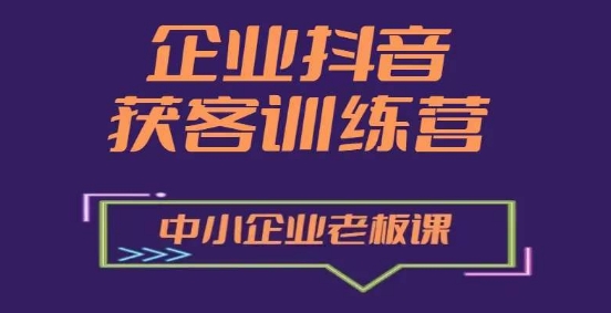 企业抖音营销获客增长训练营，中小企业老板必修课-啄木鸟资源库