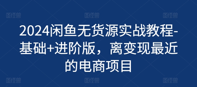 2024闲鱼无货源实战教程-基础+进阶版，离变现最近的电商项目-啄木鸟资源库