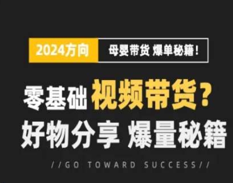 短视频母婴赛道实操流量训练营，零基础视频带货，好物分享，爆量秘籍-啄木鸟资源库