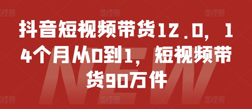 抖音短视频带货12.0，14个月从0到1，短视频带货90万件-啄木鸟资源库