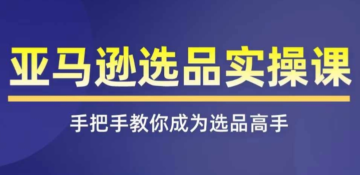 亚马逊选品实操课程，快速掌握亚马逊选品的技巧，覆盖亚马逊选品所有渠道-啄木鸟资源库