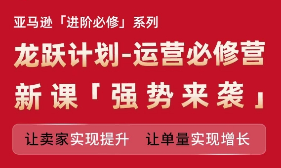 亚马逊进阶必修系列，龙跃计划-运营必修营新课，让卖家实现提升 让单量实现增长-啄木鸟资源库