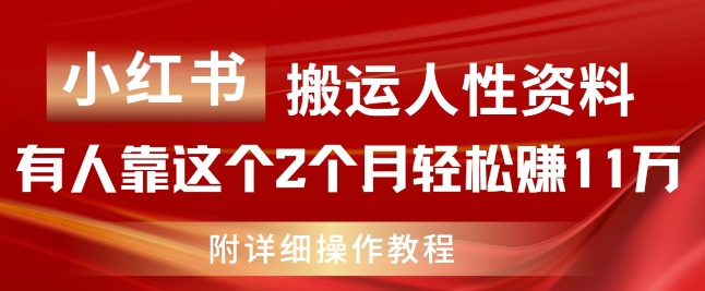 小红书搬运人性资料，有人靠这个2个月轻松赚11w，附教程【揭秘】-啄木鸟资源库