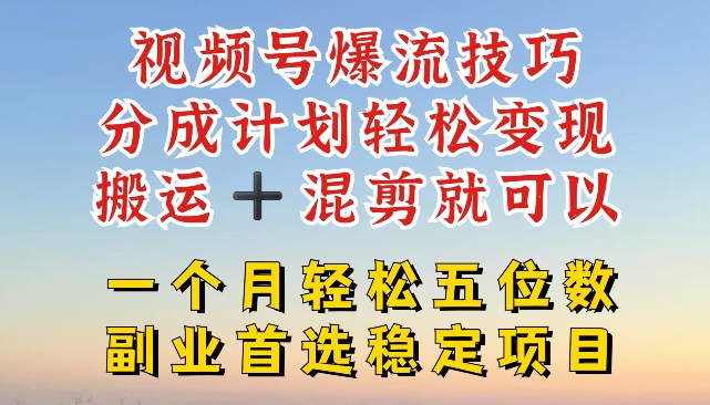 视频号爆流技巧，分成计划轻松变现，搬运 +混剪就可以，一个月轻松五位数稳定项目【揭秘】-啄木鸟资源库