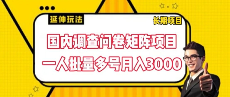 国内调查问卷矩阵项目，一人批量多号月入3000【揭秘】-啄木鸟资源库