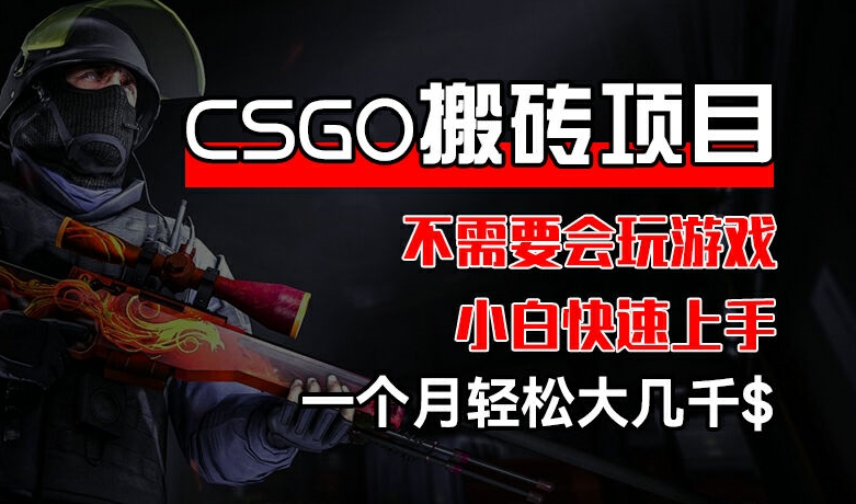 CSGO 装备搬砖项目，操作简单，不需要会玩游戏，小白也能快速上手，一个月轻松大几千【揭秘】-啄木鸟资源库