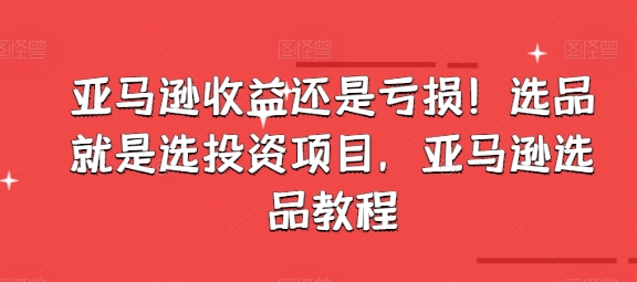 亚马逊收益还是亏损！选品就是选投资项目，亚马逊选品教程-啄木鸟资源库