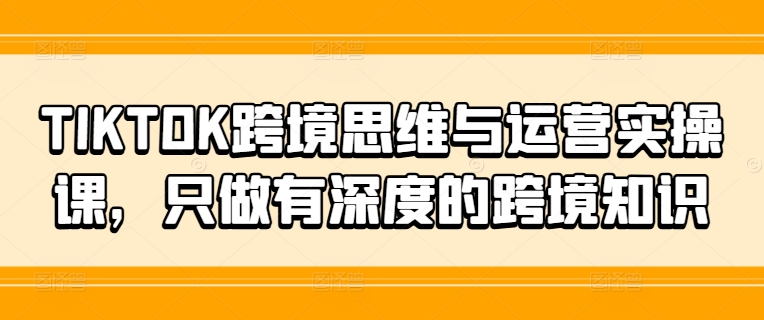 TIKTOK跨境思维与运营实操课，只做有深度的跨境知识-啄木鸟资源库