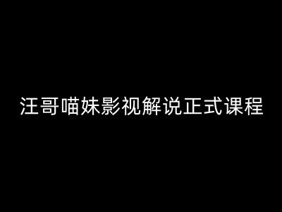 汪哥影视解说正式课程：剪映/PR教学/视解说剪辑5大黄金法则/全流程剪辑7把利器等等-啄木鸟资源库