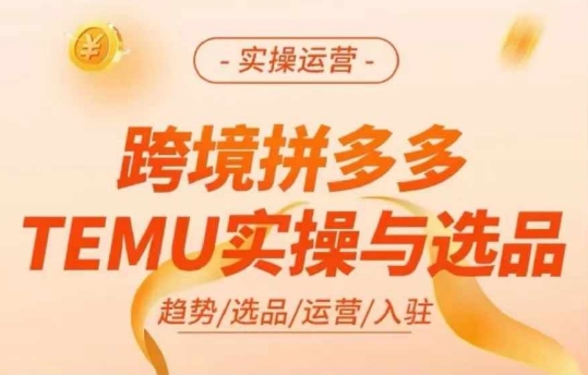 跨境拼多多TEMU实操与选品，多多temu跨境选品运营实操-啄木鸟资源库