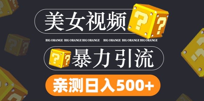 搬运tk美女视频全网分发，日引s粉300+，轻松变现，不限流量不封号【揭秘】-啄木鸟资源库