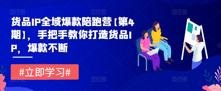 货品IP全域爆款陪跑营【第4期】，手把手教你打造货品IP，爆款不断-啄木鸟资源库