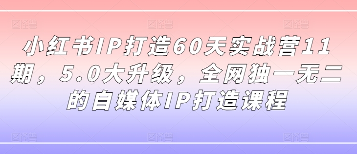 小红书IP打造60天实战营11期，5.0大升级，全网独一无二的自媒体IP打造课程-啄木鸟资源库