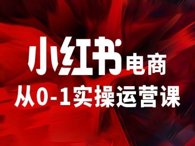 小红书电商从0-1实操运营课，让你从小白到精英-啄木鸟资源库