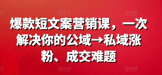 爆款短文案营销课，一次解决你的公域→私域涨粉、成交难题-啄木鸟资源库