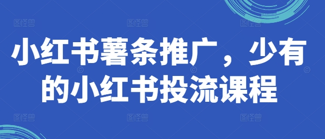 小红书薯条推广，少有的小红书投流课程-啄木鸟资源库