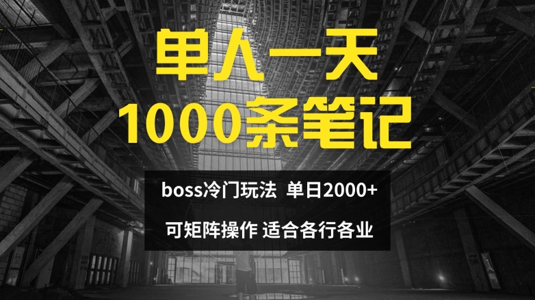 单人一天1000条笔记，日入2000+，BOSS直聘的正确玩法【揭秘】-啄木鸟资源库