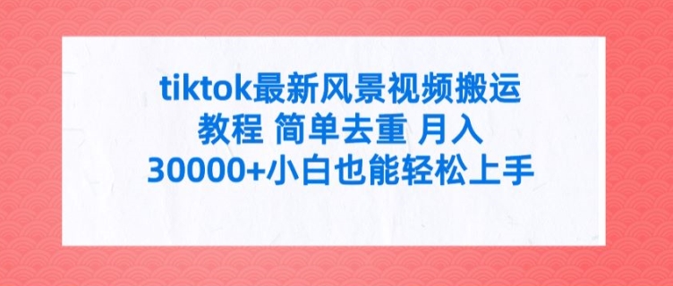 tiktok最新风景视频搬运教程 简单去重 月入3W+小白也能轻松上手【揭秘】-啄木鸟资源库