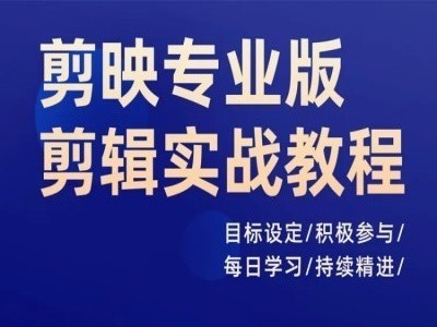 剪映专业版剪辑实战教程，目标设定/积极参与/每日学习/持续精进-啄木鸟资源库