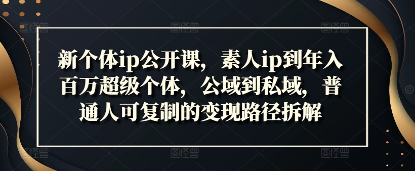 新个体ip公开课，素人ip到年入百万超级个体，公域到私域，普通人可复制的变现路径拆解-啄木鸟资源库