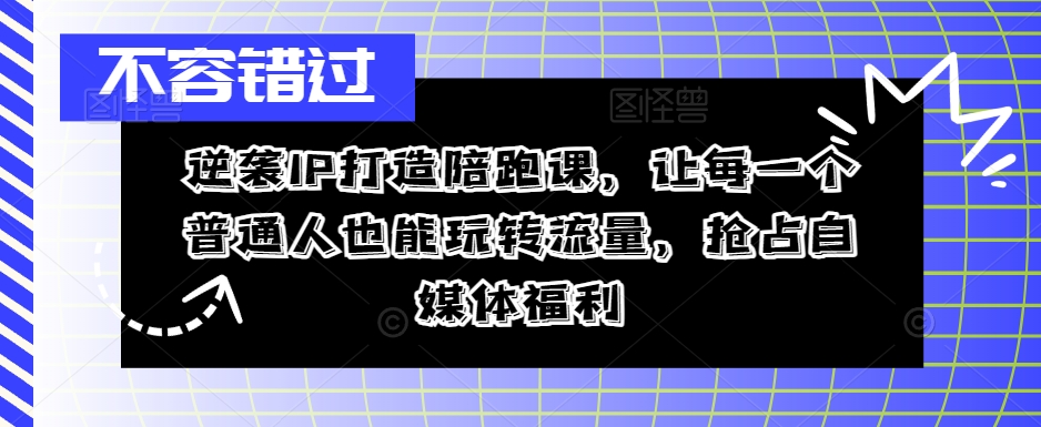 逆袭IP打造陪跑课，让每一个普通人也能玩转流量，抢占自媒体福利-啄木鸟资源库