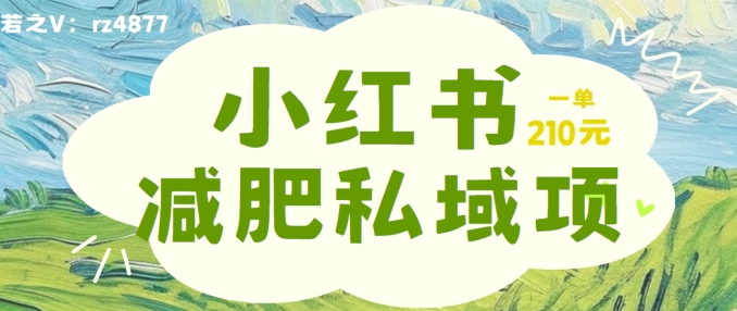 小红书减肥粉，私域变现项目，一单就达210元，小白也能轻松上手【揭秘】-啄木鸟资源库