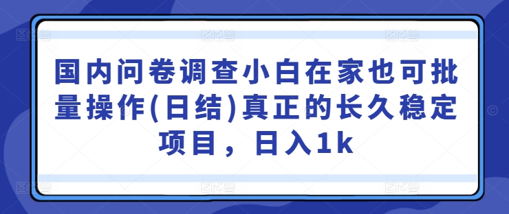 国内问卷调查小白在家也可批量操作(日结)真正的长久稳定项目，日入1k【揭秘】-啄木鸟资源库