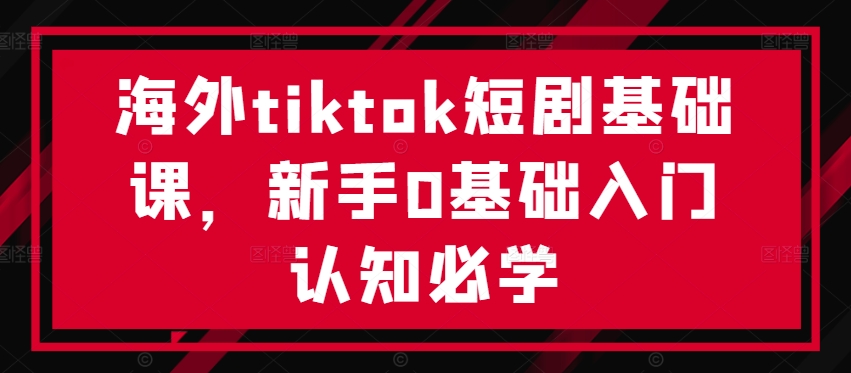 海外tiktok短剧基础课，新手0基础入门认知必学-啄木鸟资源库